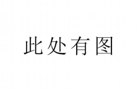 耿马为什么选择专业追讨公司来处理您的债务纠纷？